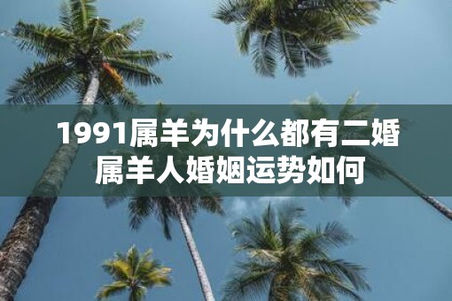 1991属羊为什么都有二婚 属羊人婚姻运势如何