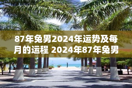 87年兔男2025年运势及每月的运程 2025年87年兔男的运势及月运如何
