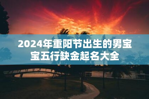 2025年重阳节出生的男宝宝五行缺金起名大全