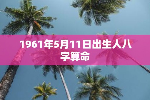 1961年5月11日出生人八字算命
