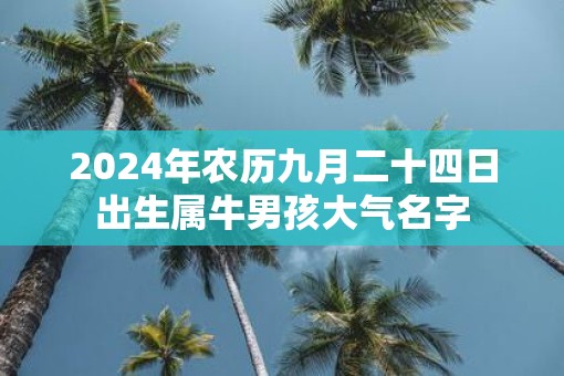 2025年农历九月二十四日出生属牛男孩大气名字