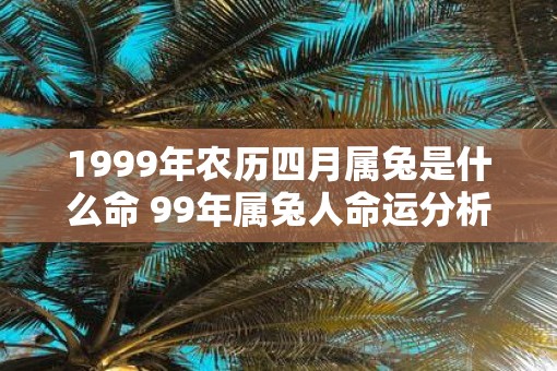 1999年农历四月属兔是什么命 99年属兔人命运分析