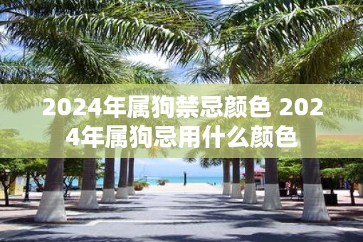 2025年属狗禁忌颜色 2025年属狗忌用什么颜色