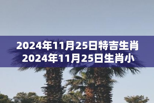2025年11月25日特吉生肖 2025年11月25日生肖小运播报