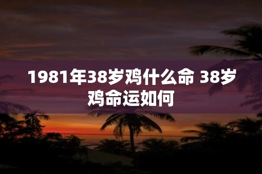 1981年38岁鸡什么命 38岁鸡命运如何