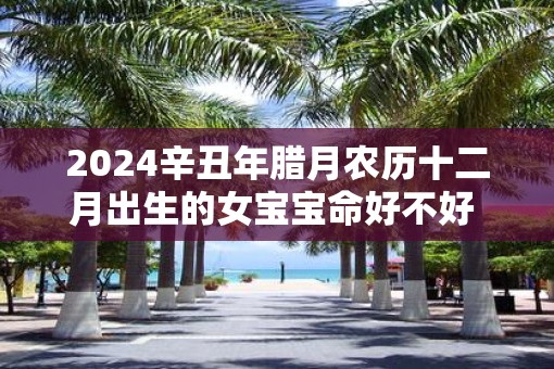 2025辛丑年腊月农历十二月出生的女宝宝命好不好  命运解析