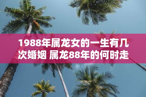 1988年属龙女的一生有几次婚姻 属龙88年的何时走大运