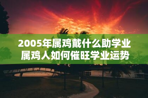 2005年属鸡戴什么助学业 属鸡人如何催旺学业运势