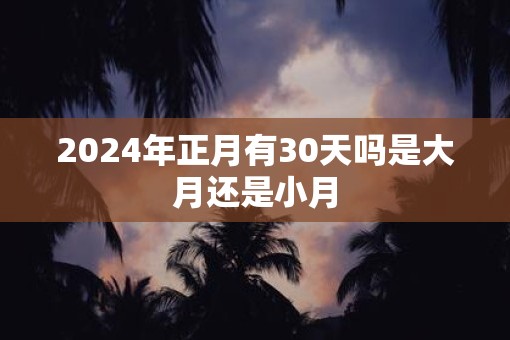 2025年正月有30天吗是大月还是小月
