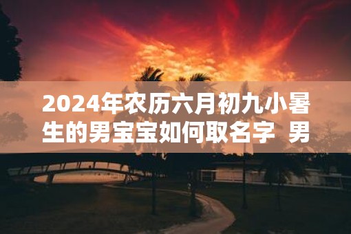 2025年农历六月初九小暑生的男宝宝如何取名字  男孩最佳名字