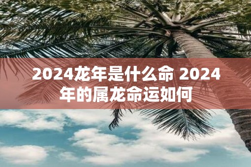 2025蛇年是什么命 2025年的属龙命运如何