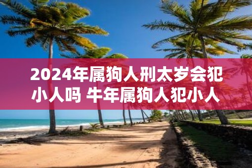 2025年属狗人刑太岁会犯小人吗 牛年属狗人犯小人怎么办