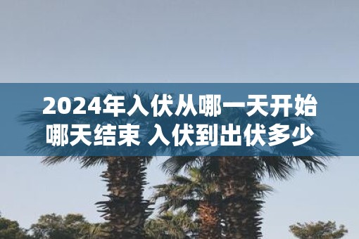 2025年入伏从哪一天开始哪天结束 入伏到出伏多少天