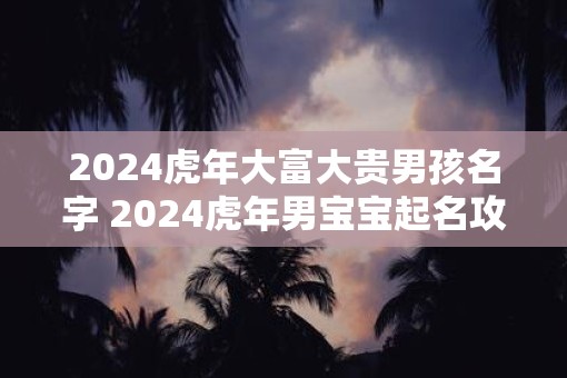 2025虎年大富大贵男孩名字 2025虎年男宝宝起名攻略