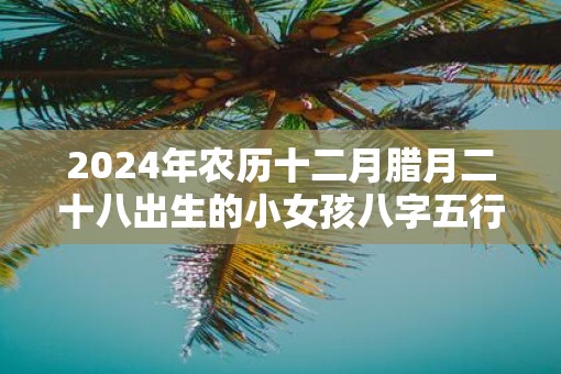 2025年农历十二月腊月二十八出生的小女孩八字五行取名大全集