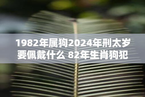 1982年属狗2025年刑太岁要佩戴什么 82年生肖狗犯太岁怎么化解