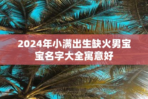 2025年小满出生缺火男宝宝名字大全寓意好