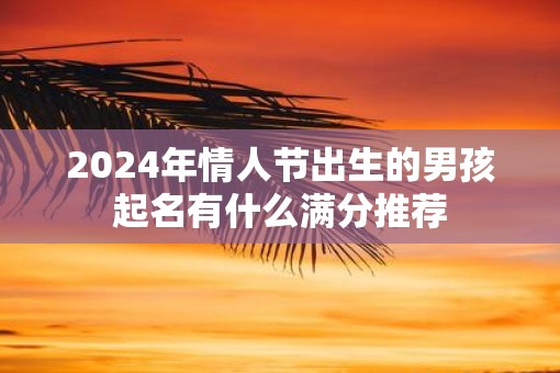 2025年情人节出生的男孩起名有什么满分推荐