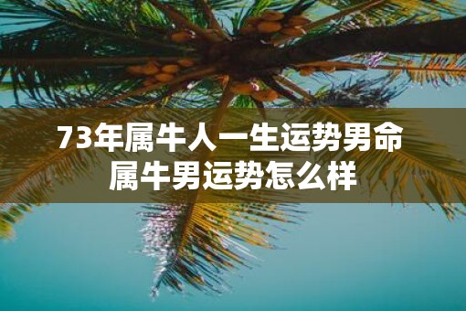 73年属牛人一生运势男命 属牛男运势怎么样