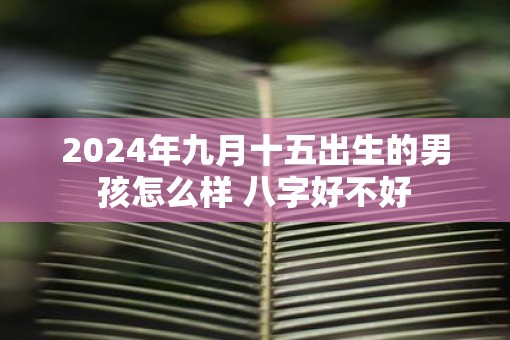 2025年九月十五出生的男孩怎么样 八字好不好