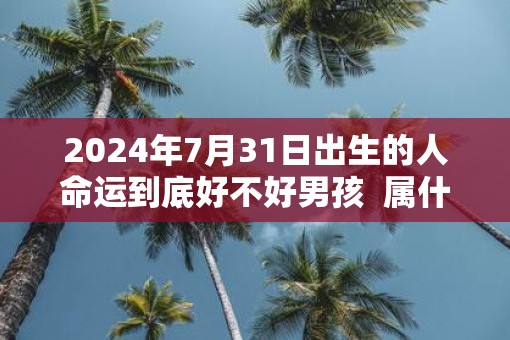 2025年7月31日出生的人命运到底好不好男孩  属什么命