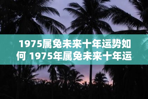 1975属兔未来十年运势如何 1975年属兔未来十年运势如何