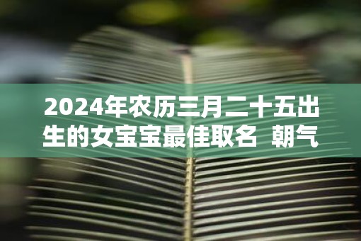 2025年农历三月二十五出生的女宝宝最佳取名  朝气满满的女孩名字