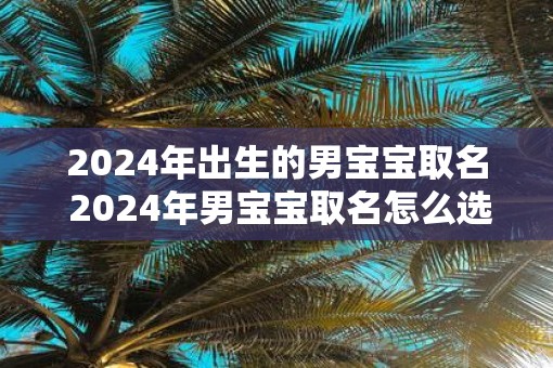 2025年出生的男宝宝取名 2025年男宝宝取名怎么选