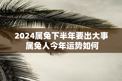 2025属兔下半年要出大事 属兔人今年运势如何
