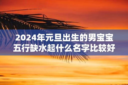 2025年元旦出生的男宝宝五行缺水起什么名字比较好