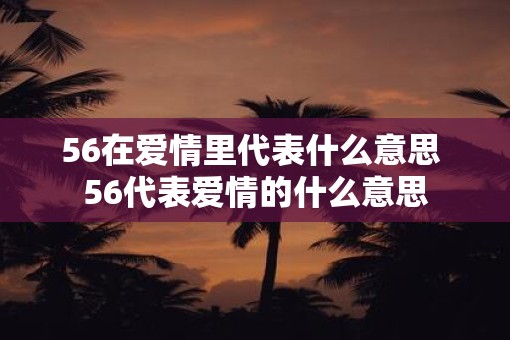 56在爱情里代表什么意思 56代表爱情的什么意思