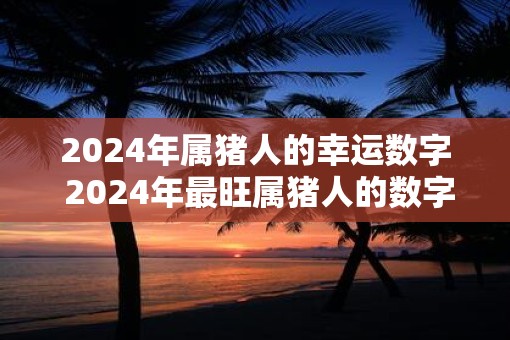 2025年属猪人的幸运数字 2025年最旺属猪人的数字