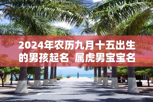 2025年农历九月十五出生的男孩起名  属虎男宝宝名字大全