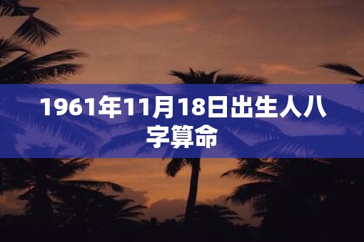 1961年11月18日出生人八字算命