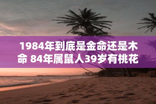 1984年到底是金命还是木命 84年属鼠人39岁有桃花劫