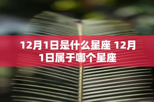 12月1日是什么星座 12月1日属于哪个星座