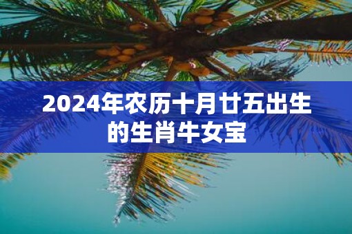 2025年农历十月廿五出生的生肖牛女宝
