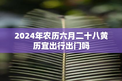 2025年农历六月二十八黄历宜出行出门吗