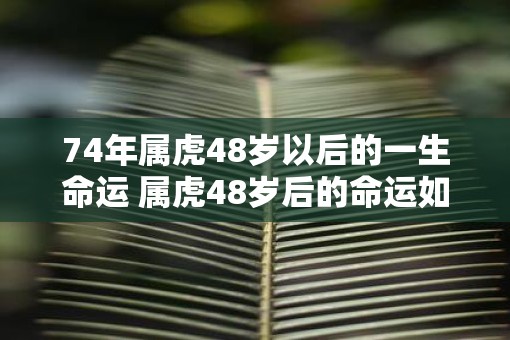 74年属虎48岁以后的一生命运 属虎48岁后的命运如何