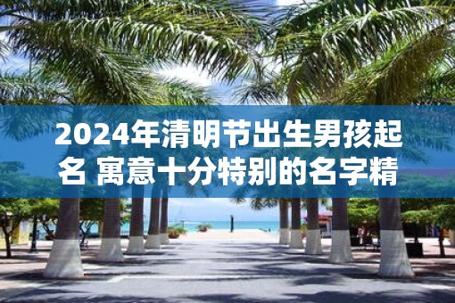 2025年清明节出生男孩起名 寓意十分特别的名字精选