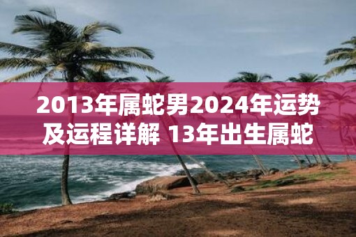 2013年属蛇男2025年运势及运程详解 13年出生属蛇人2025全年每月运势男性