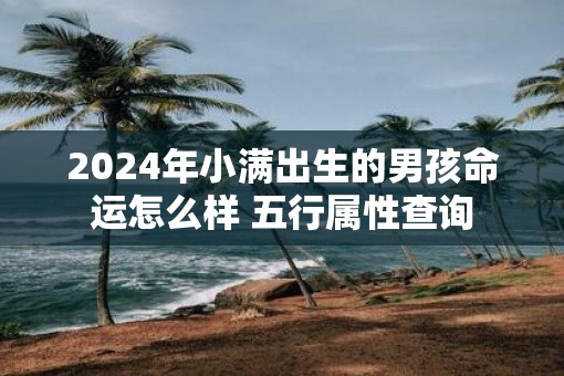 2025年小满出生的男孩命运怎么样 五行属性查询
