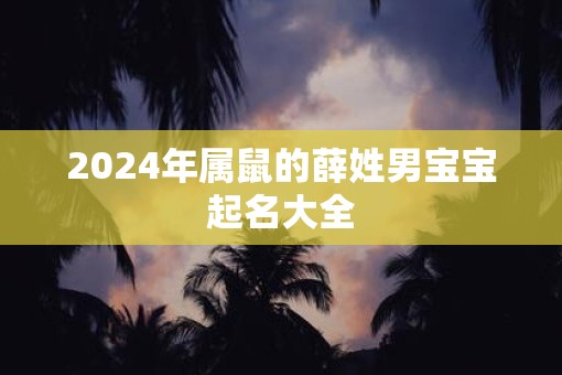 2025年属鼠的薛姓男宝宝起名大全