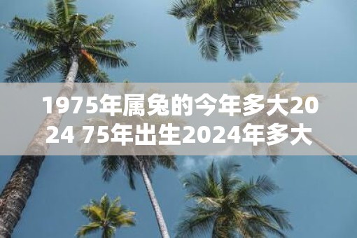 1975年属兔的今年多大2025 75年出生2025年多大年龄