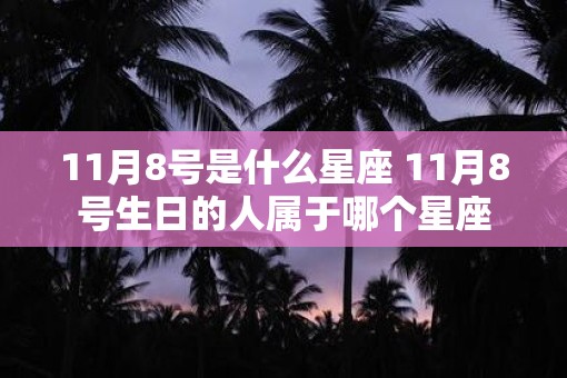 11月8号是什么星座 11月8号生日的人属于哪个星座