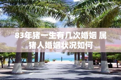 83年猪一生有几次婚姻 属猪人婚姻状况如何
