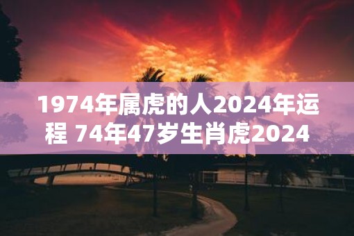 1974年属虎的人2025年运程 74年47岁生肖虎2025年运势