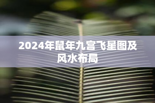 2025年鼠年九宫飞星图及风水布局