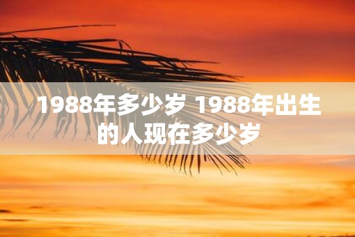 1988年多少岁 1988年出生的人现在多少岁