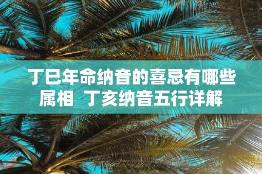 丁巳年命纳音的喜忌有哪些属相  丁亥纳音五行详解
